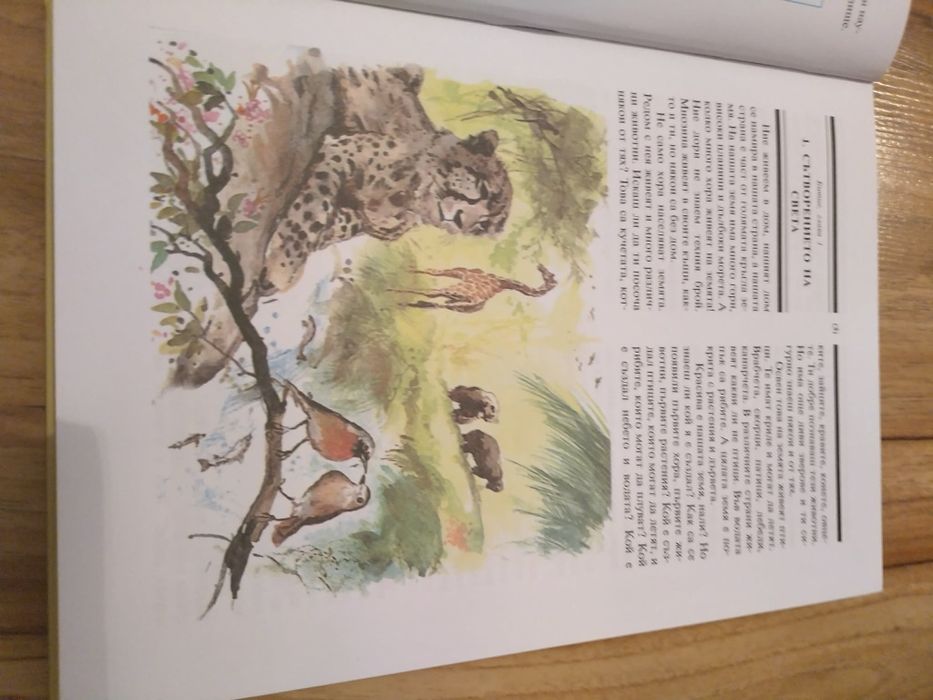 Книга Детска библия