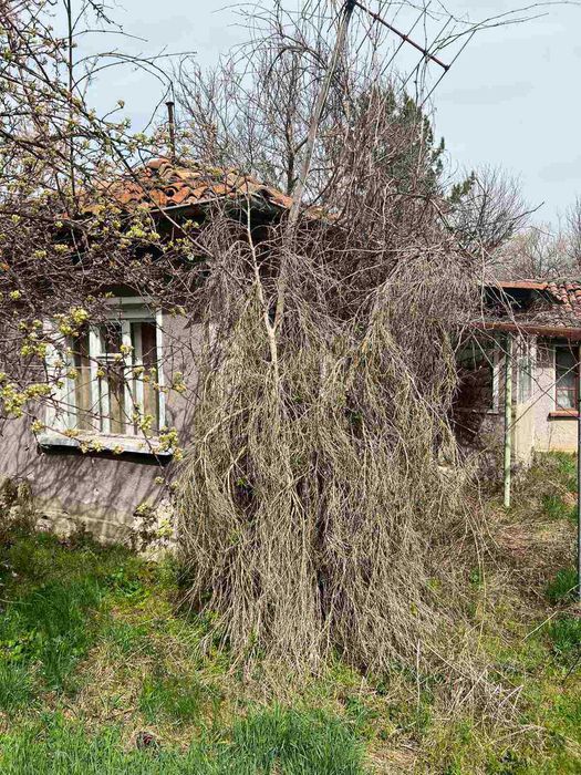 къща с дворно място с. Дебели Лаг