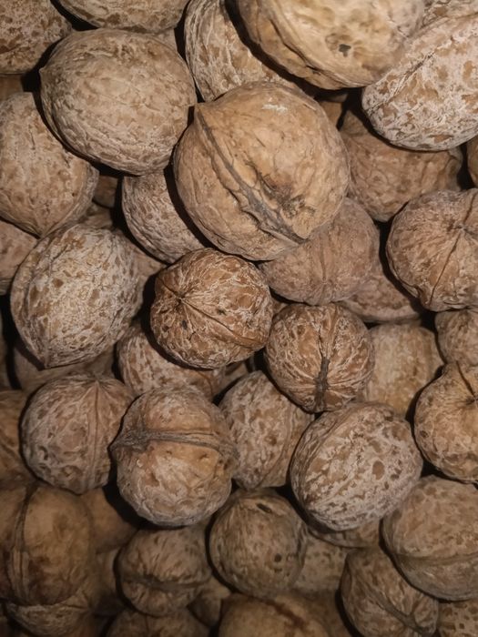 Жаңғақ 450 тг, Шымкент