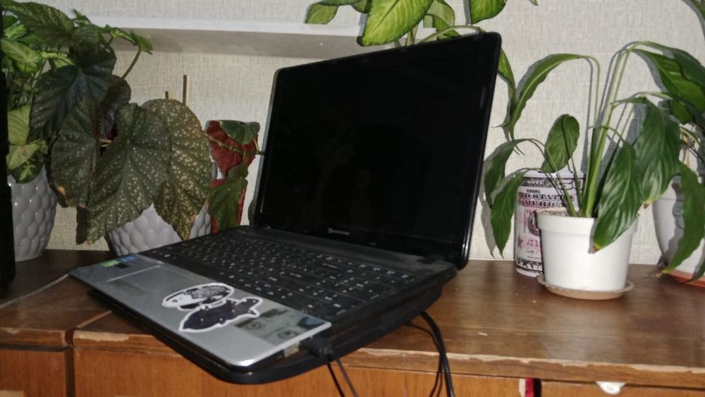 ноутбук pockord bell продажа либо обмен