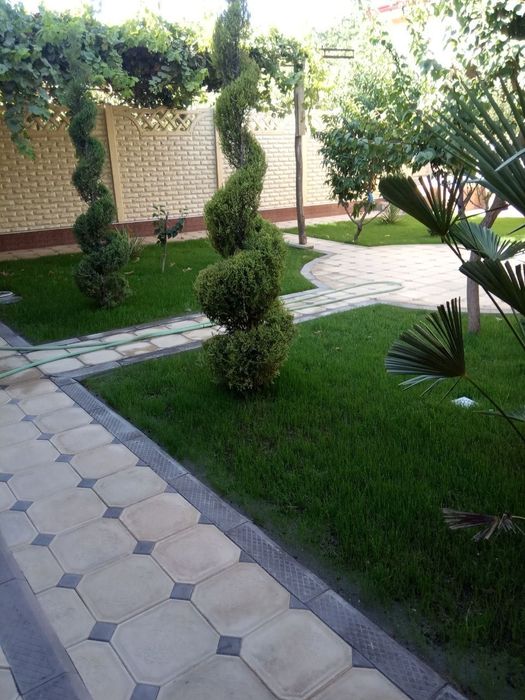 Gazon ekish lanshaftni dizayin asosida