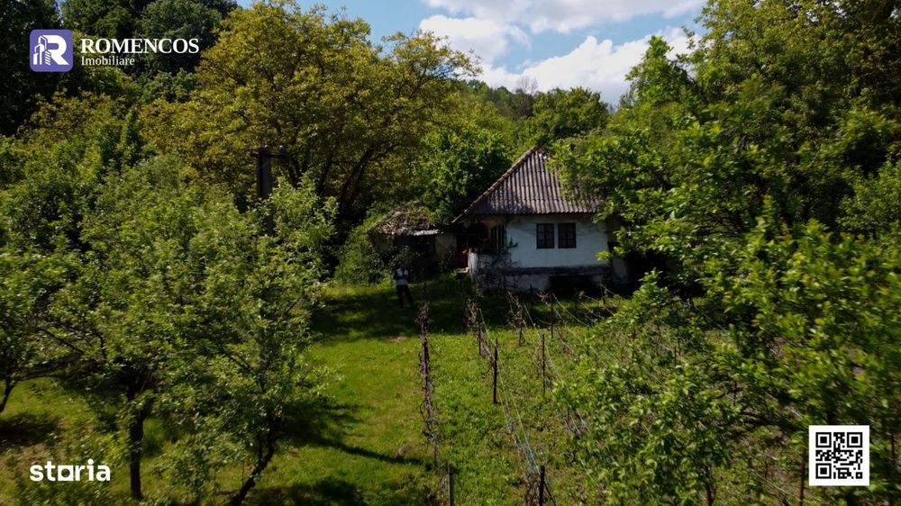 Casa traditionala in Sat Opresti, comuna Stalpeni, Arges