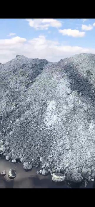 Соль лезунец, кормовая