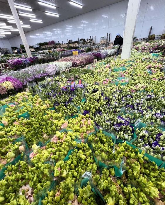 Тюльпаны, герберы, хризантемы, ромашки, пионы, розы