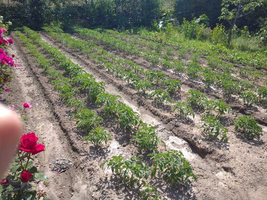 Продается дача срочно