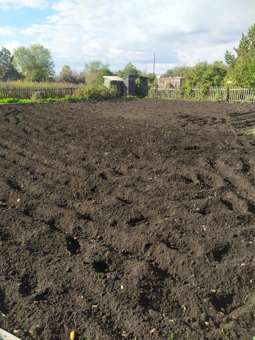 Дача в сообществе ромашка