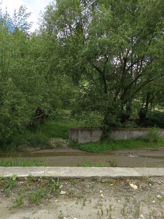 Teren intravilan