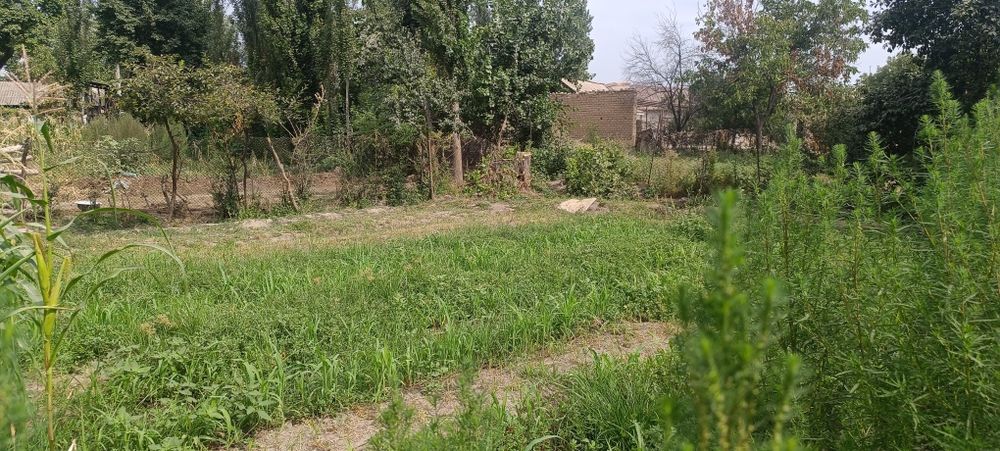 Yer sotiladi 4 sotok