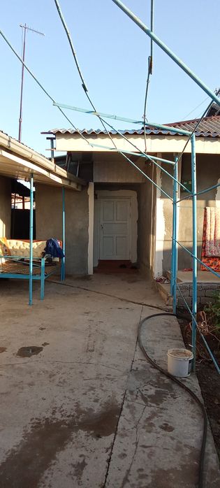 Нурафшон тойтепада уй сотилади