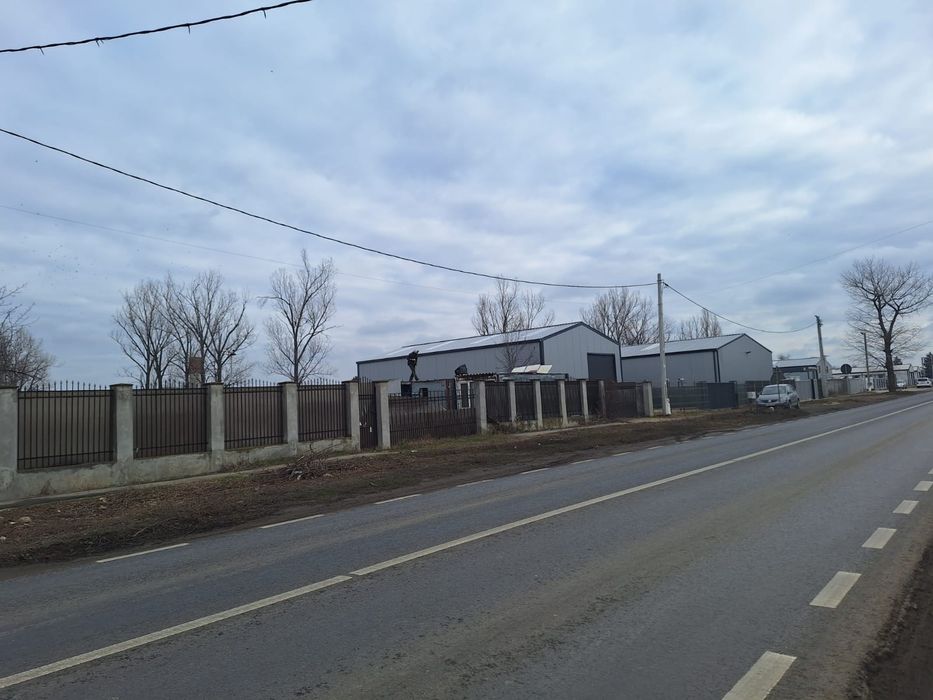 Teren Industrial/Comercial 1100mp, Deschidere 33ml la DN1A – Crevedia (Platformă betonată, Utilități)
