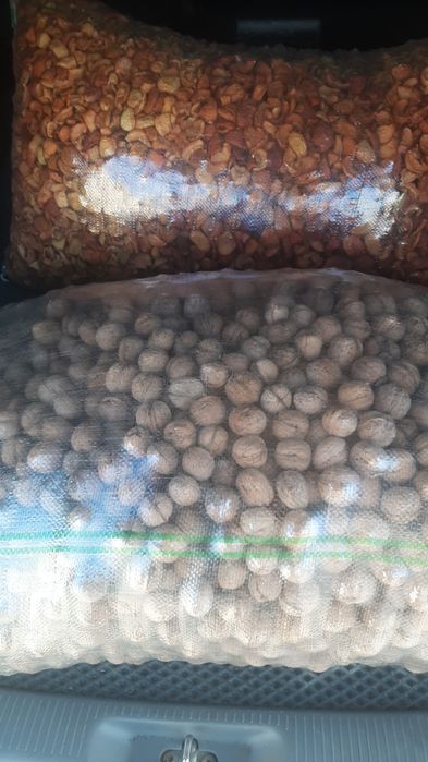 ОРЕХ (Сухофрукты ,жангак )ОРЕХ