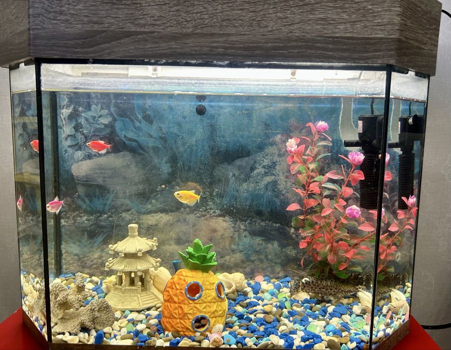 Аквариум с рыбками