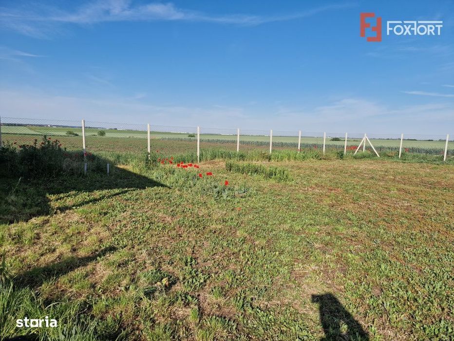 Teren extravilan de 3500 mp de vanzare in Remetea Mare