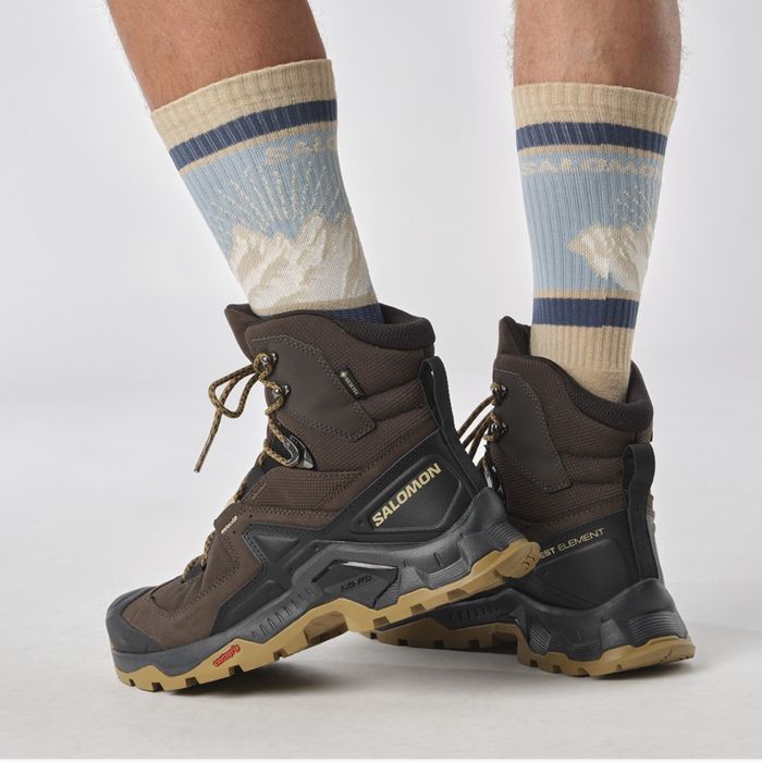 Salomon quest element GTX