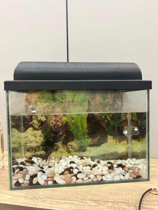 Аквариум сатылады