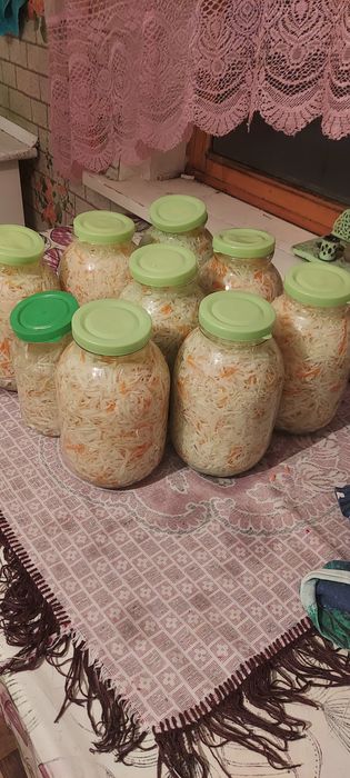 Продам  капусту соленую