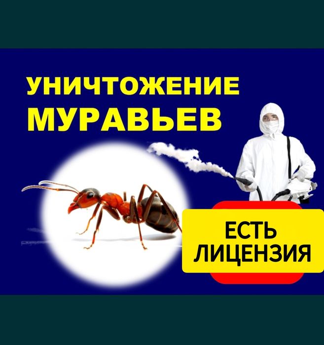 Дезинфекция муравьёв Семей