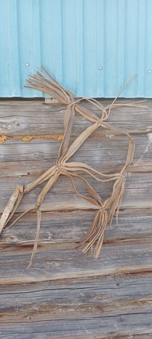 Уздечка. Жүген,.