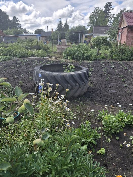 Продам дачу в с/о Буревестник