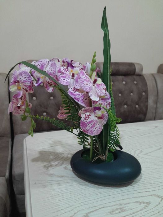 Dekorativniy suniiy gullar