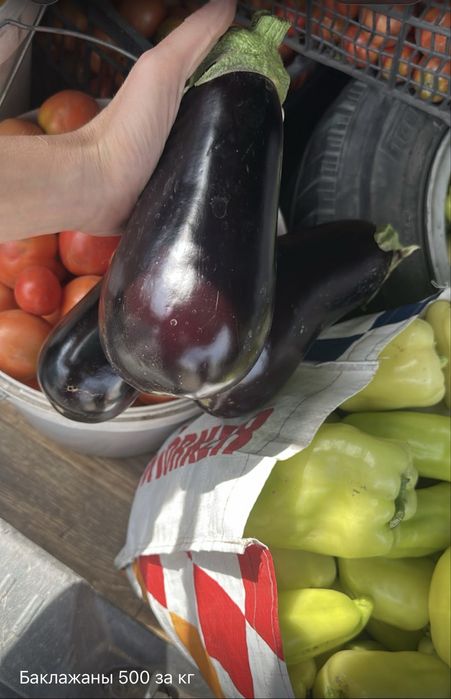 Продам овощи на засолку