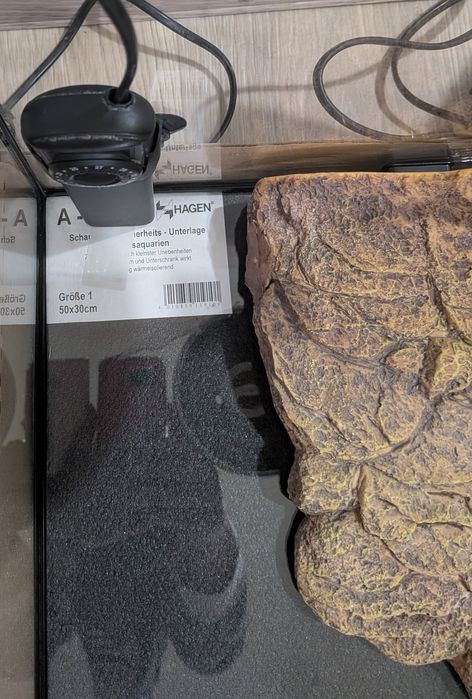 Аквариум за костенурка стъкло