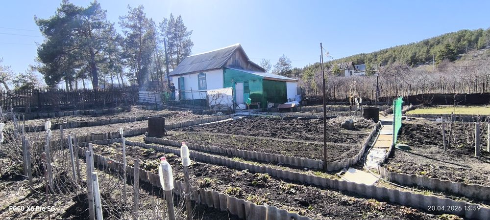 Дача на Бухтарме