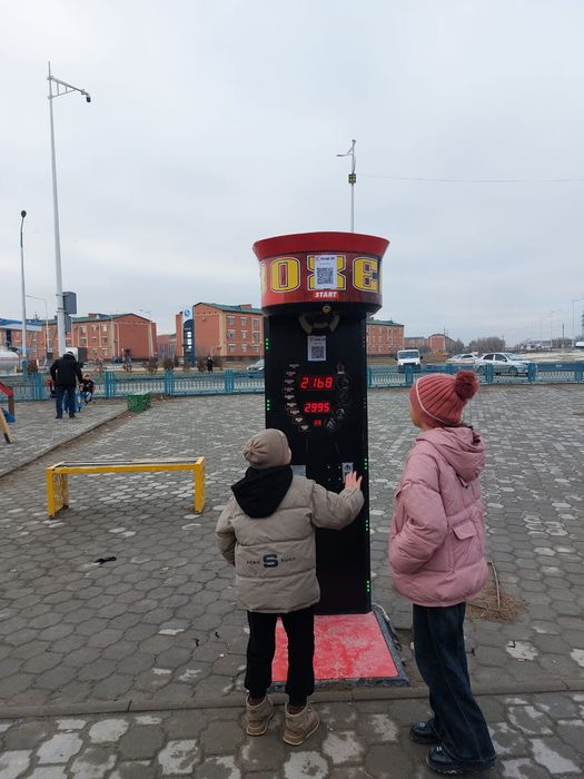 Силомер аппарат действующий