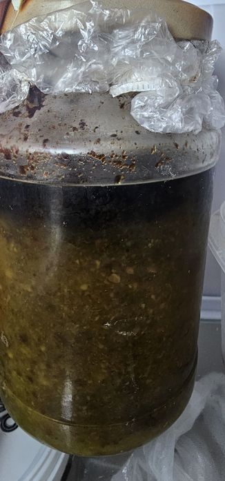 Зоб йод народное средство лечения НАСТОЙКА ОТ ЗОБА .щитовидная железа