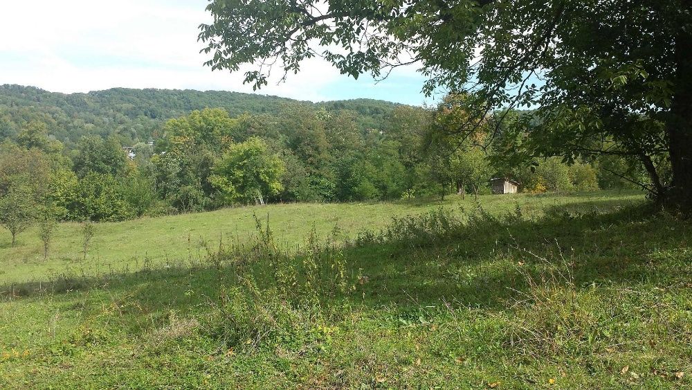 Teren intravilan Provita de jos (langa Breaza)- PRAHOVA    REDUCERE!!!