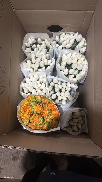 Продаю тюльпаны по 350 тенге