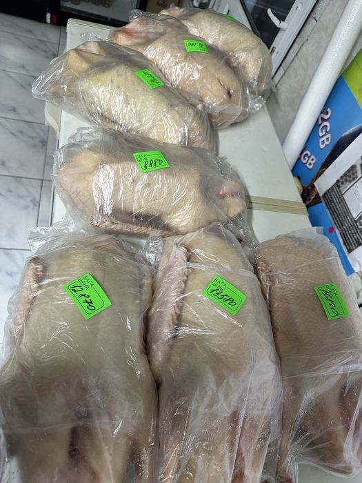 Продам гусей тушками