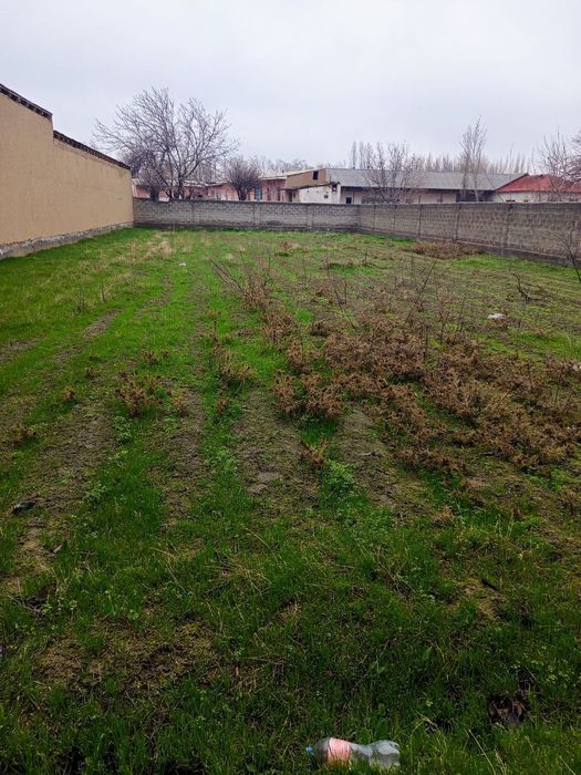 JOMBOY TUMAN  Qora moyi mahalasi