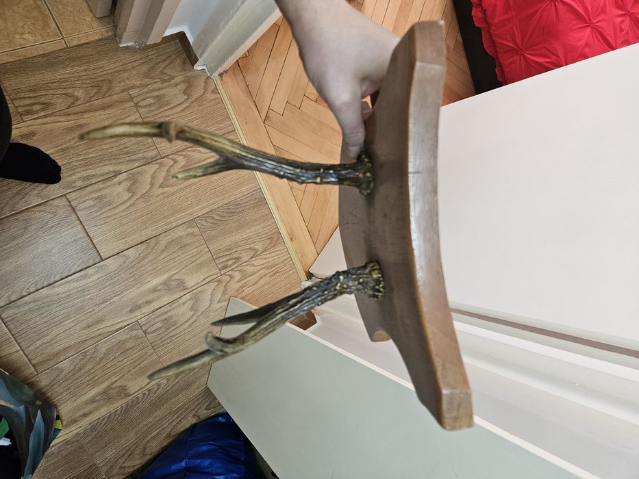 Ornament coarne de cerb