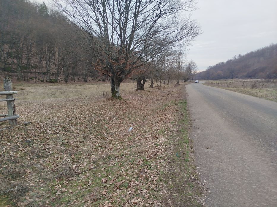 Loc pentru casa de vacanta