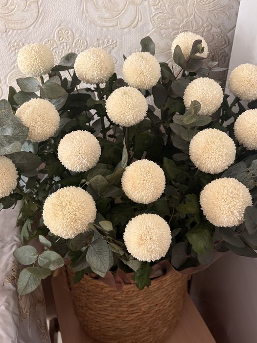 Продам срочно цветы