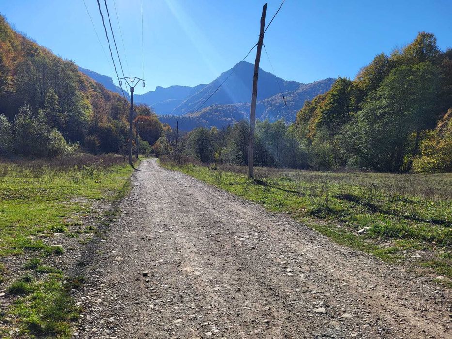 Teren intravilan Lepsa Strei Tulnici posibilitate lotizare