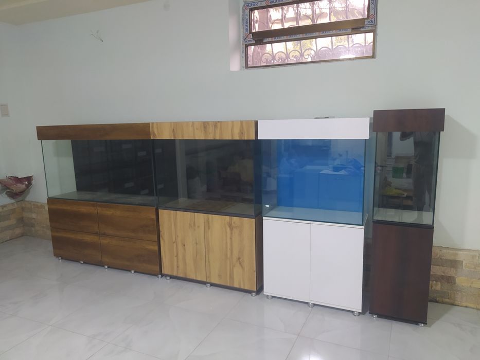 Аквариум Узбекистан заватской