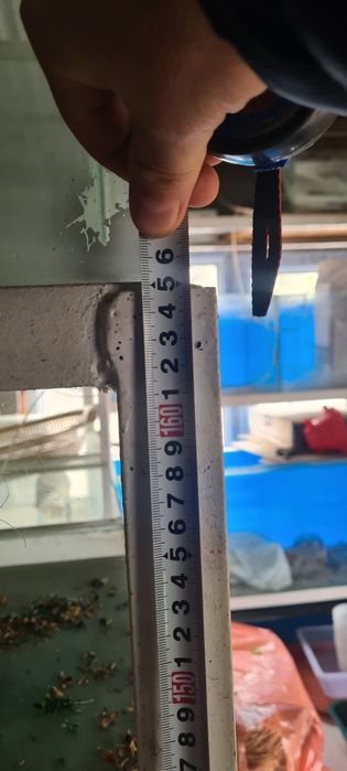 Стеллаж с аквариумами.