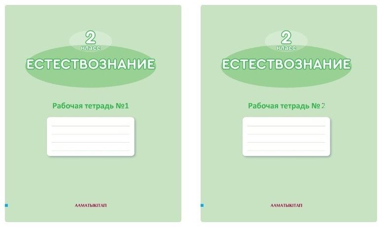 Рабочие тетради