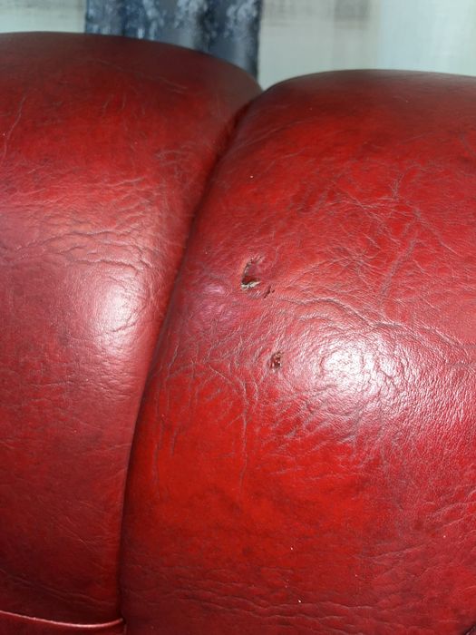 canapea si fotoliu din piele