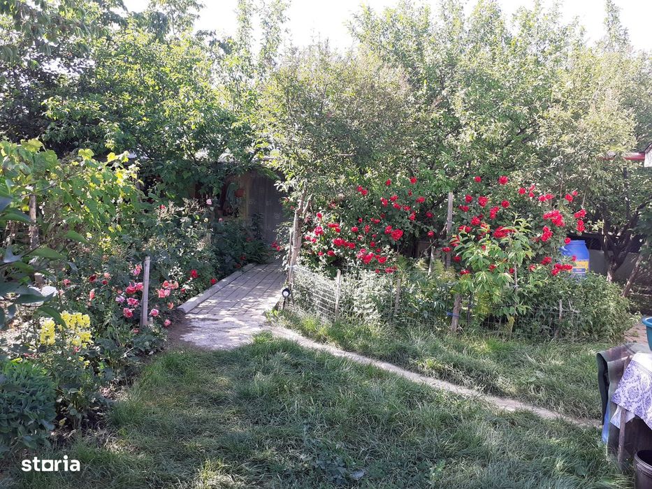 Vând grădină în Târgu Frumos