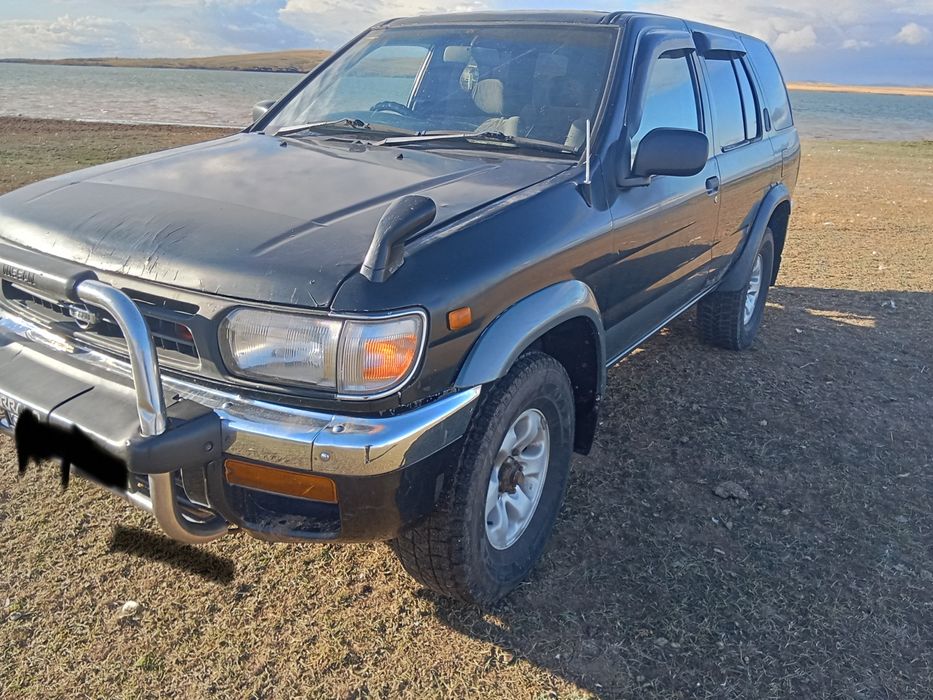 Возможен обмен на скот