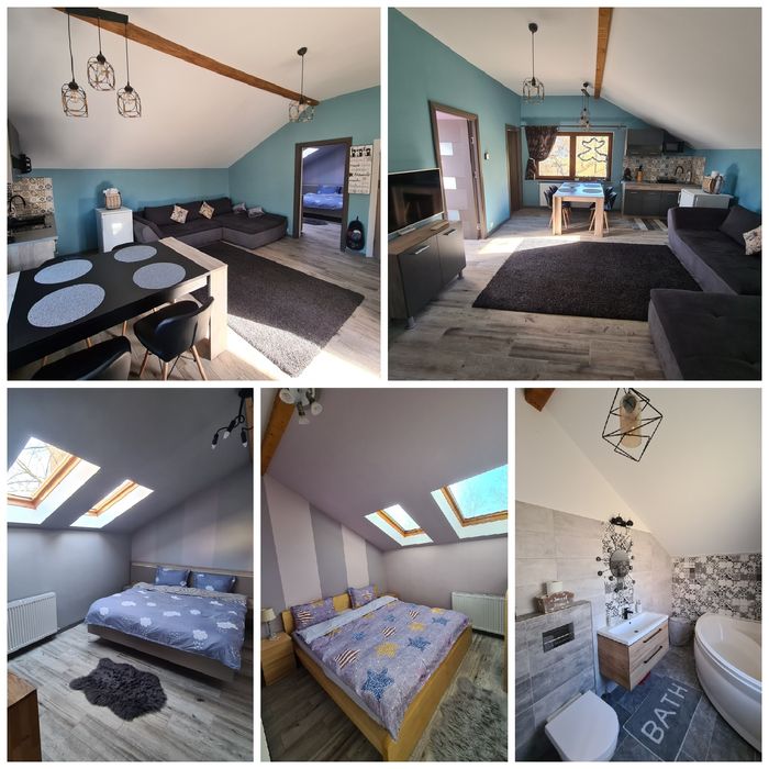 Cazare in regim hotelier - Comfort Home Apartment Petrosani