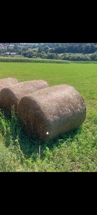 Baloti rotunzi,lucernă, 1,2m×1,2m!