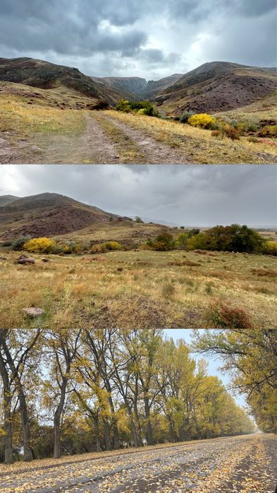 Участок 10га под КХ