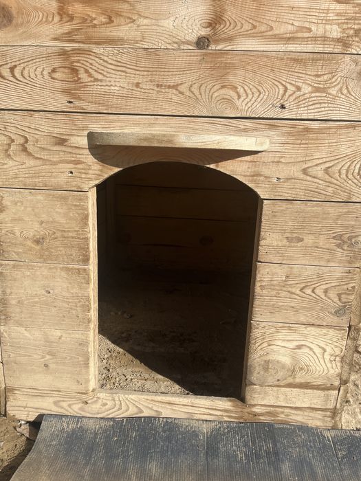 Дом для собаки