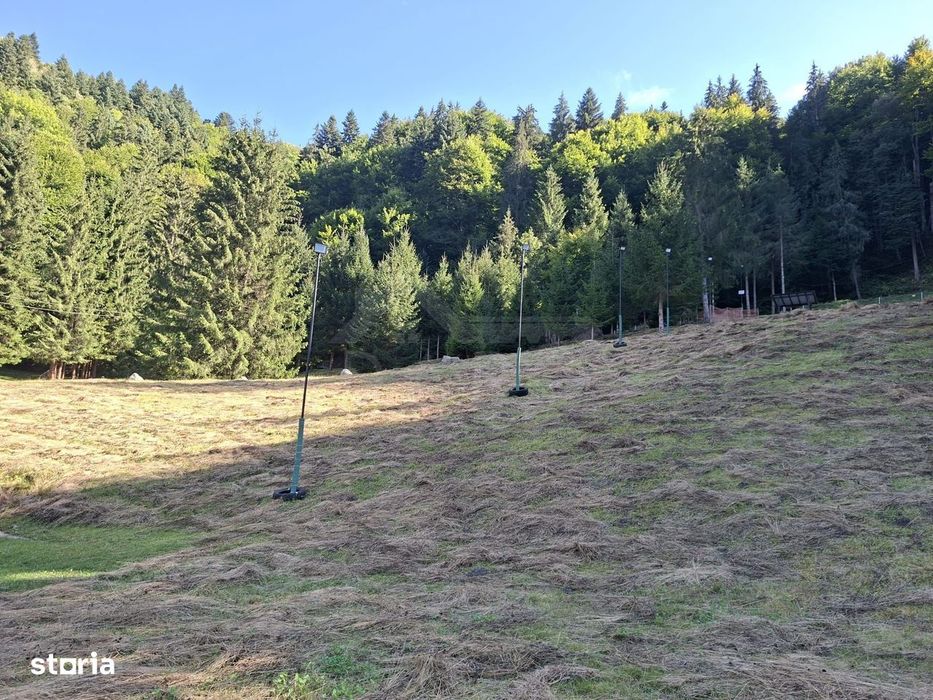 Teren intravilan la munte