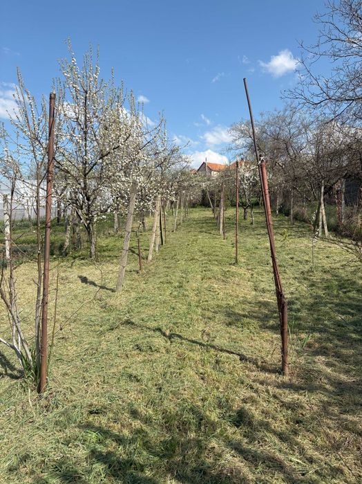 Vand casa particulara cu teren pe strada Depoului nr. 43, Oradea
