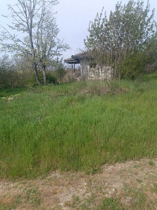 Продава се Парцел в с. Малък Поровец, Област Разград - 2711 кв.м за 9 €/кв.м - Снимка #1